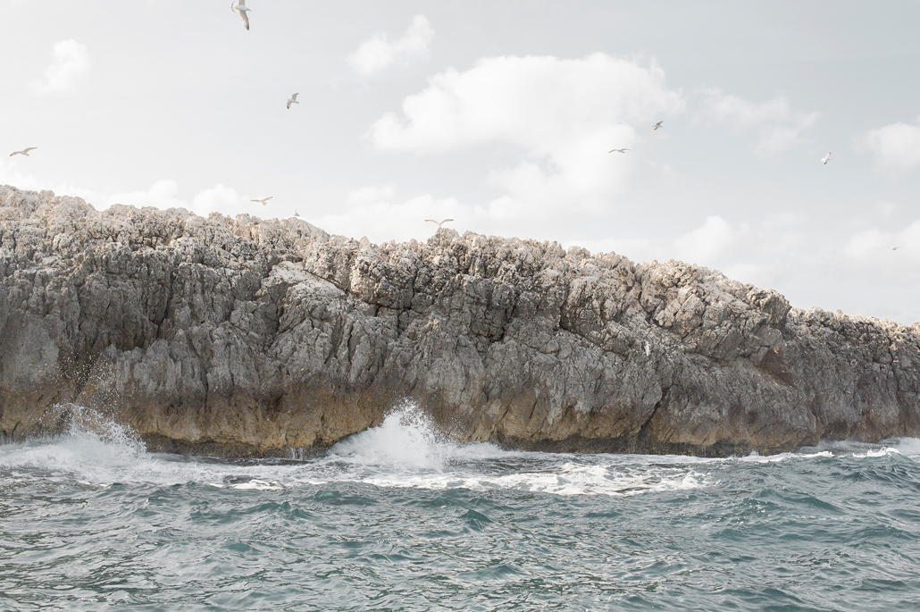 L’ala della Berta / The shearwater’s wing